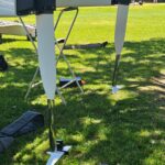 news dalla Nuova Zelanda